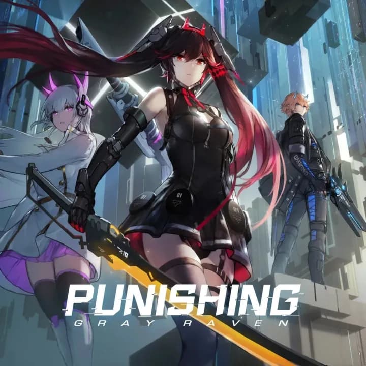 Punishing: Gray Raven